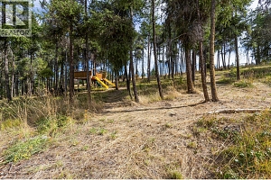 4444 June Springs Road - Photo 47