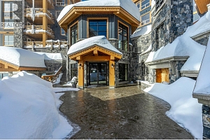 375 Raven Ridge Road Unit# 301 - Photo 36