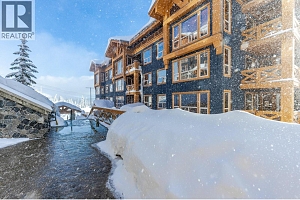 375 Raven Ridge Road Unit# 301 - Photo 37