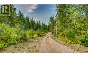 20 Bigg Road - Photo 53