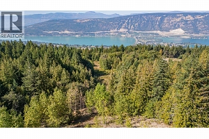 6055 Oyama Lake Road - Photo 11