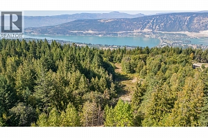 6055 Oyama Lake Road - Photo 12