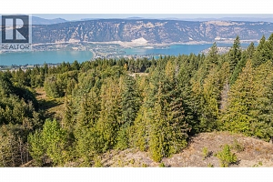 6055 Oyama Lake Road - Photo 14