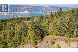 6055 Oyama Lake Road - Photo 15