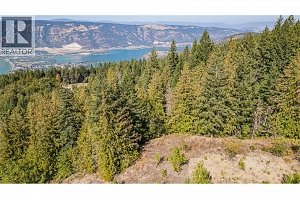 6055 Oyama Lake Road - Photo 16