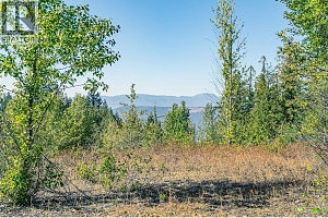 6055 Oyama Lake Road - Photo 19