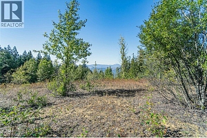 6055 Oyama Lake Road - Photo 20