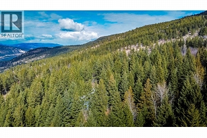 6055 Oyama Lake Road - Photo 30