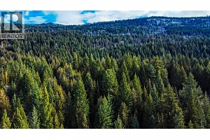 6055 Oyama Lake Road - Photo 31