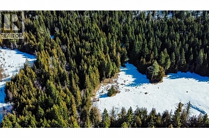 6055 Oyama Lake Road - Photo 9