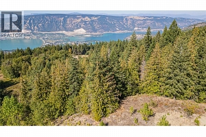 6055 Oyama Lake Road - Photo 9