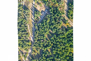 6011 Oyama Lake Road - Photo 48