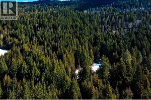 6051 Oyama Lake Road - Photo 14