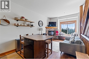 5015 Snowbird Way Unit# 2 - Photo 9