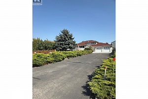2611 Guidi Road - Photo 62