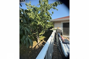 2611 Guidi Road - Photo 72