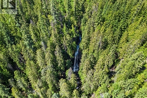 1309 Eagle Ridge Road - Photo 8