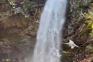 1309 Eagle Ridge Road - Photo 9