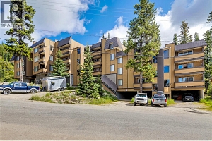 6375 Whiskey Jack Road Unit# 308 - Photo 18