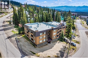 6375 Whiskey Jack Road Unit# 308 - Photo 20