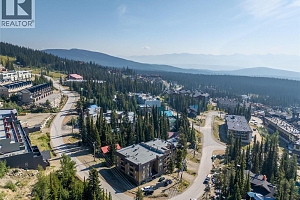 6375 Whiskey Jack Road Unit# 308 - Photo 21