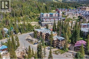 6375 Whiskey Jack Road Unit# 308 - Photo 23