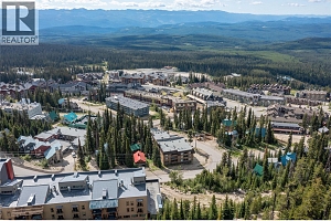 6375 Whiskey Jack Road Unit# 308 - Photo 24