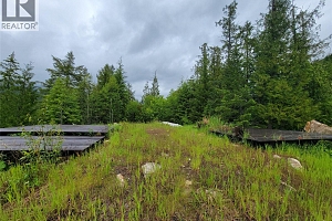 3022 Mabel Lake Road - Photo 10