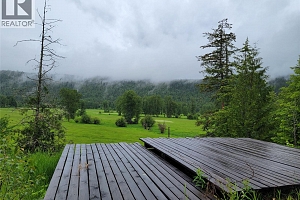 3022 Mabel Lake Road - Photo 11