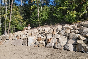 3022 Mabel Lake Road - Photo 12