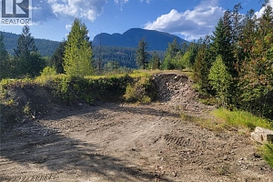 3022 Mabel Lake Road - Photo 13