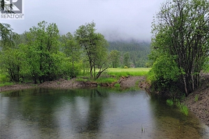 3022 Mabel Lake Road - Photo 15