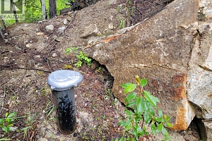 3022 Mabel Lake Road - Photo 16