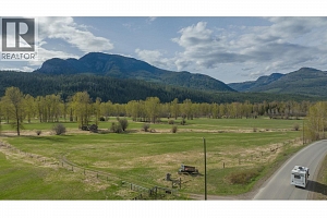 3022 Mabel Lake Road - Photo 18