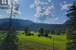 3022 Mabel Lake Road - Photo 2