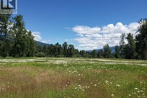 3022 Mabel Lake Road - Photo 7