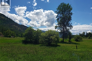 3022 Mabel Lake Road - Photo 8