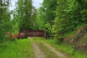 3022 Mabel Lake Road - Photo 9