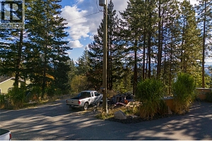 1642 West Kelowna Road - Photo 41