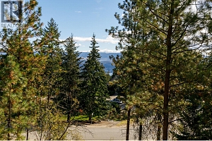 1642 West Kelowna Road - Photo 9