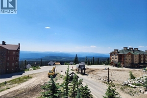 330 Feathertop Way Lot# 6 - Photo 10