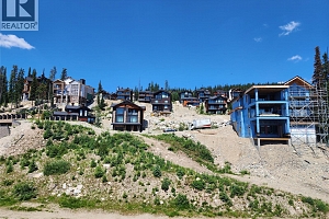 330 Feathertop Way Lot# 6 - Photo 14