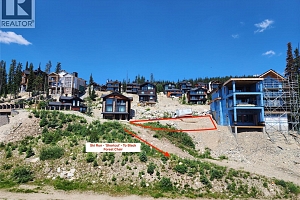 330 Feathertop Way Lot# 6 - Photo 3