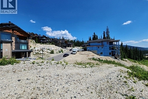 330 Feathertop Way Lot# 6 - Photo 7