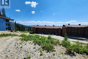 330 Feathertop Way Lot# 6 - Photo 8