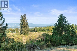 3298 Upper McLeod Road - Photo 47