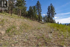 2455 Arthur Court - Photo 8