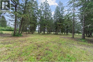 4911 Malpass Road - Photo 78