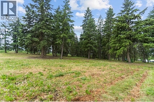 4911 Malpass Road - Photo 79