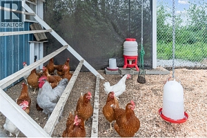 4911 Malpass Road - Photo 84